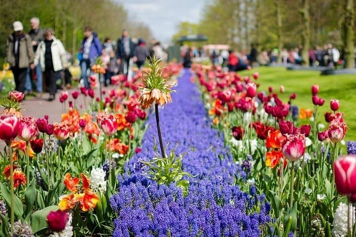 Private Keukenhof Gardens Day Trip from Amsterdam — Custom Tulip & Flower Experience photo 1