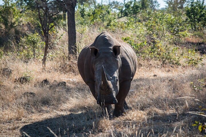 Mosi oa Tunya National Park Game Drive: Livingstone Safari Along the Zambezi photo 3