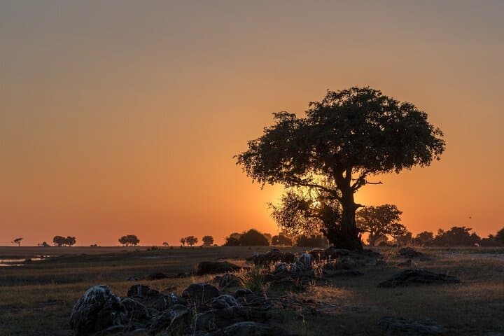Mosi oa Tunya National Park Game Drive: Livingstone Safari Along the Zambezi photo 4