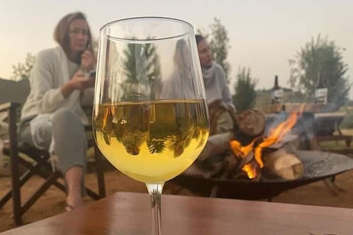 Full-Day Private Cape Winelands Wine Tasting — 3 Wineries, 12 Wines photo 3