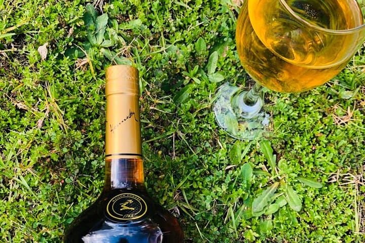 Full-Day Private Cape Winelands Wine Tasting — 3 Wineries, 12 Wines photo 6
