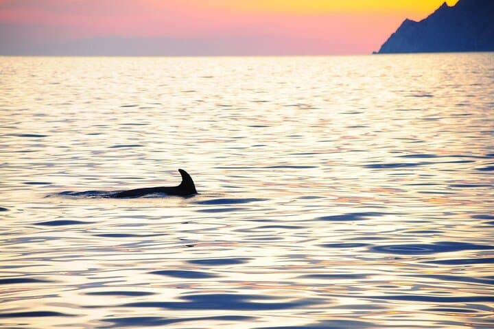 Cinque Terre Sunset Cruise from Monterosso: Aperitif & Coastal Views photo 3