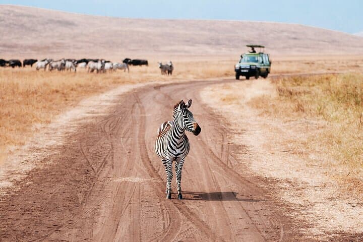 3-Day Safari Expedition from Arusha: Tarangire, Ngorongoro & Materuni photo 3