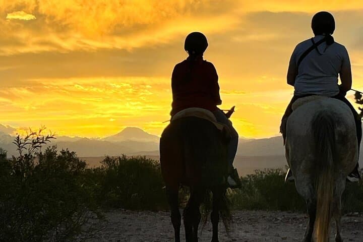 Sunset Horseback Ride & Creole Dinner in Lunlunta — Mendoza Wine Country Experience photo 5