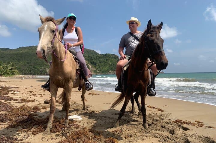 St. Lucia East Coast Horseback Riding, Waterfall & Soufriere Mud Baths Day Tour photo 2