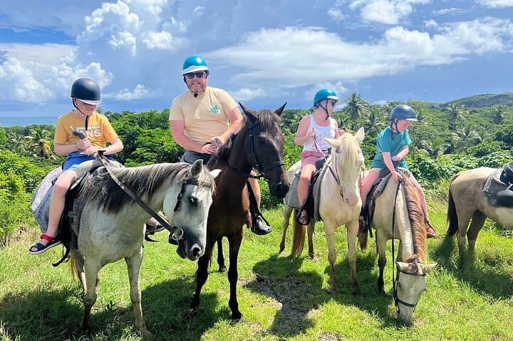 St. Lucia East Coast Horseback Riding, Waterfall & Soufriere Mud Baths Day Tour photo 5