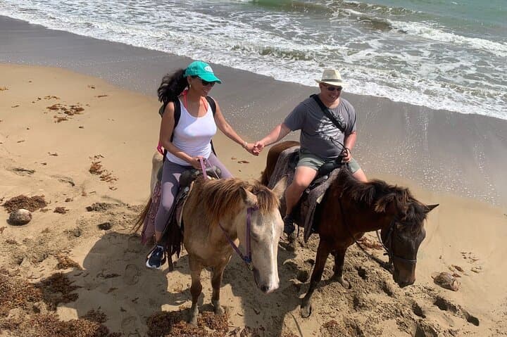 St. Lucia East Coast Horseback Riding, Waterfall & Soufriere Mud Baths Day Tour photo 6