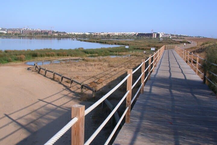 Private Birdwatching Tour at Salgados Lagoon — Algarve Birding Experience photo 4