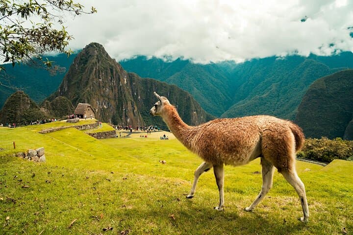 Short Inca Trail to Machu Picchu: 2-Day Hike with Scenic Train photo 5