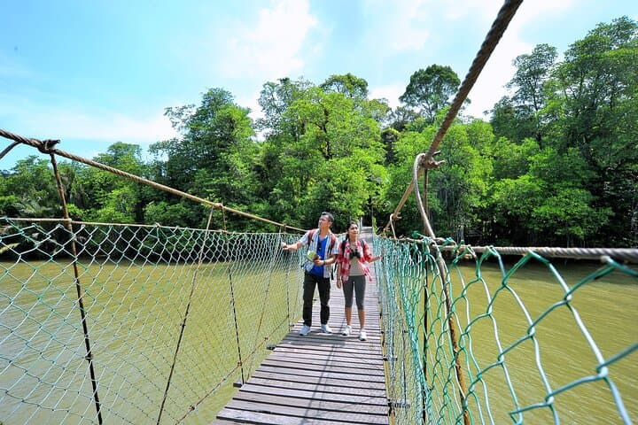 Taman Negara 2-Day Small-Group Rainforest Escape from Kuala Lumpur photo 3