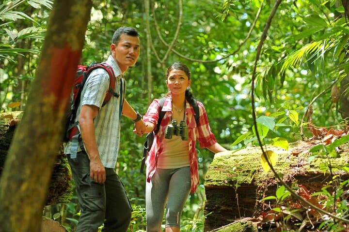 Taman Negara 2-Day Small-Group Rainforest Escape from Kuala Lumpur photo 4