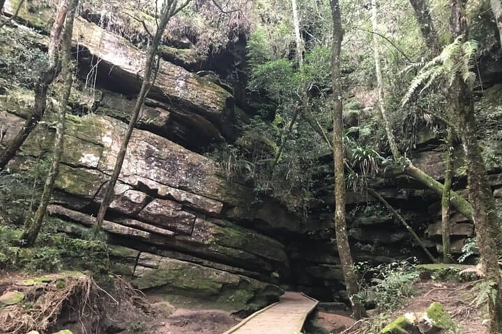 Full-Day Vila Velha & Buraco do Padre Tour from Curitiba photo 6