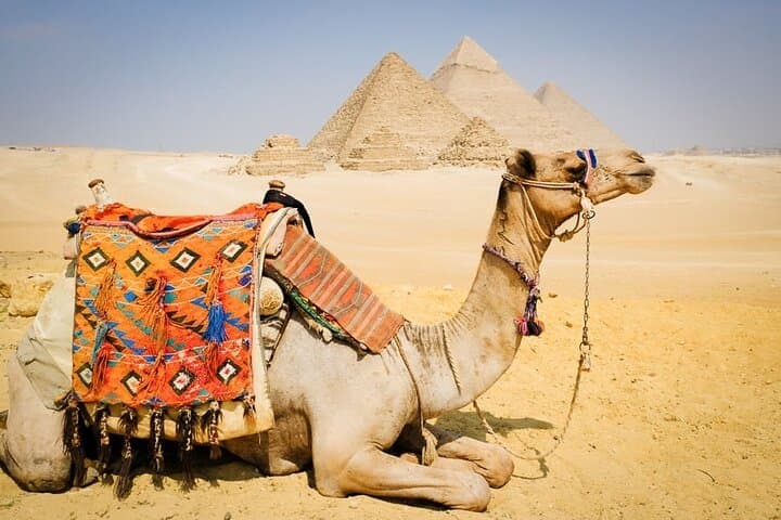 Private 1-Hour Camel Ride at the Giza Pyramids — Close-Up Views & Local Insight photo 3