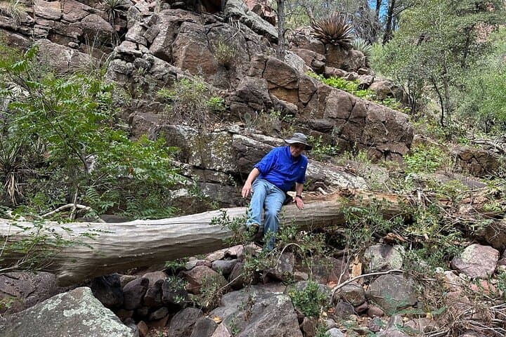 Moon Canyon Off‑Road and Hiking Adventure — Tonto National Forest Ash Creek Canyon photo 4