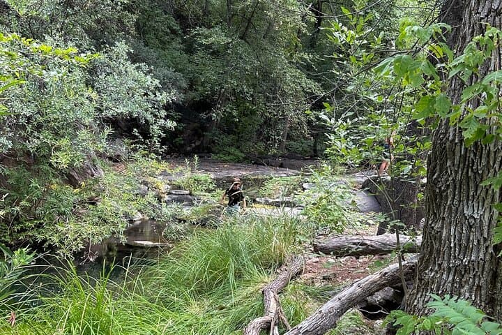 Moon Canyon Off‑Road and Hiking Adventure — Tonto National Forest Ash Creek Canyon photo 5