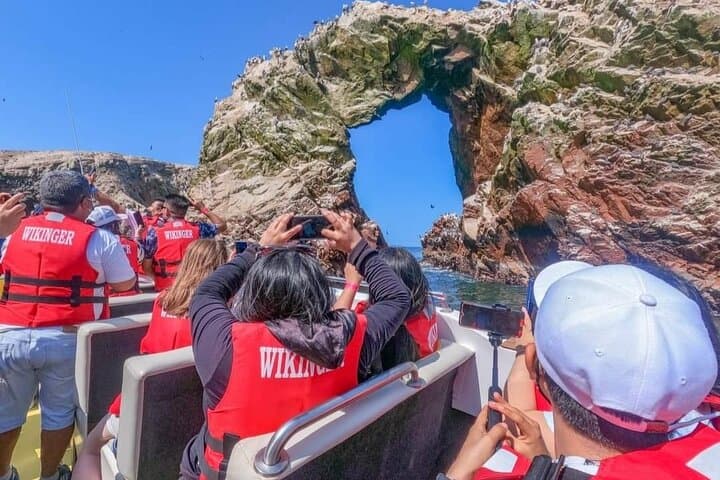 Ballestas Islands Speedboat from Puerto San Martin: Wildlife Cruise Near Paracas photo 2
