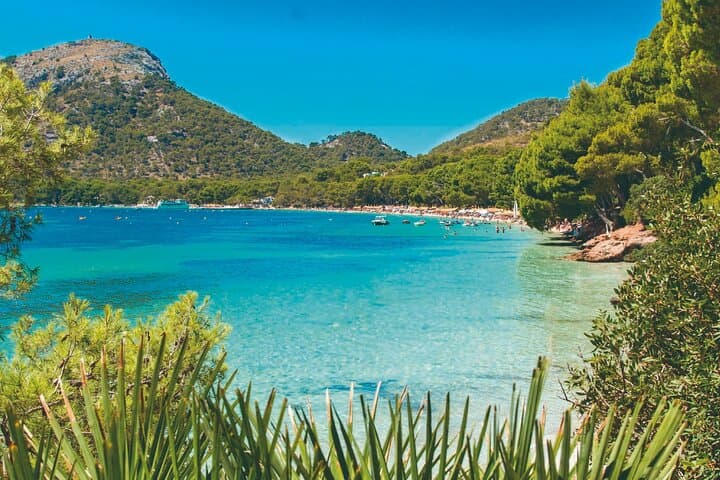 Mallorca North Shore: Formentor, Wine Tasting & Palma Day Tour photo 3