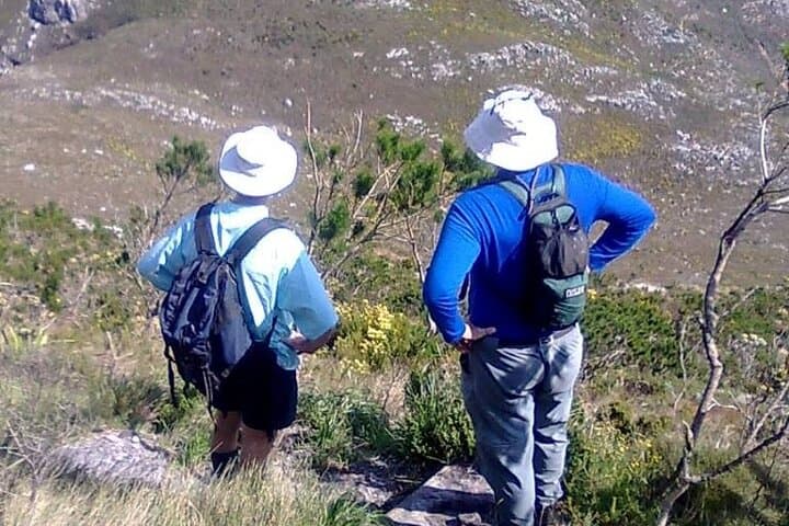 Guided Table Mountain Hike: Platteklip & Skeleton Gorge Half-Day Trek in Cape Town photo 5