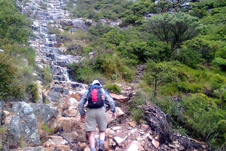 Guided Table Mountain Hike: Platteklip & Skeleton Gorge Half-Day Trek in Cape Town photo 6