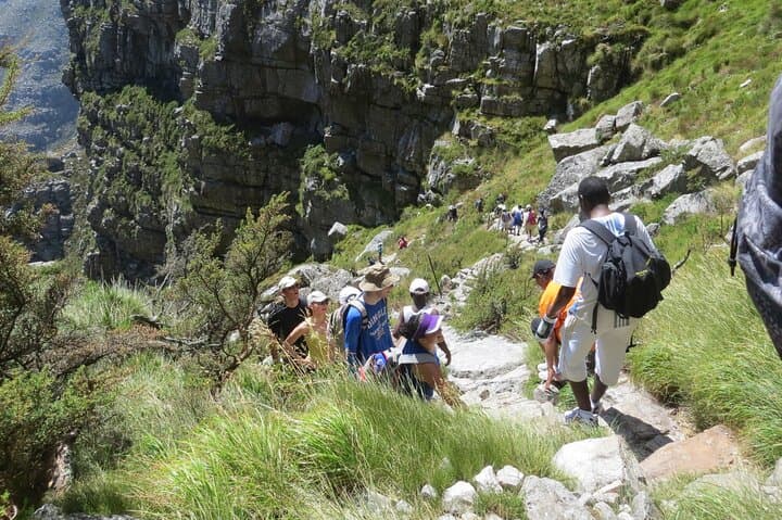 Guided Table Mountain Hike: Platteklip & Skeleton Gorge Half-Day Trek in Cape Town