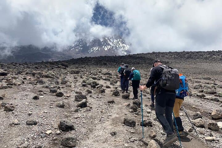 7-Day Kilimanjaro Trek via Machame Route: Summit Uhuru Peak in One Week photo 2