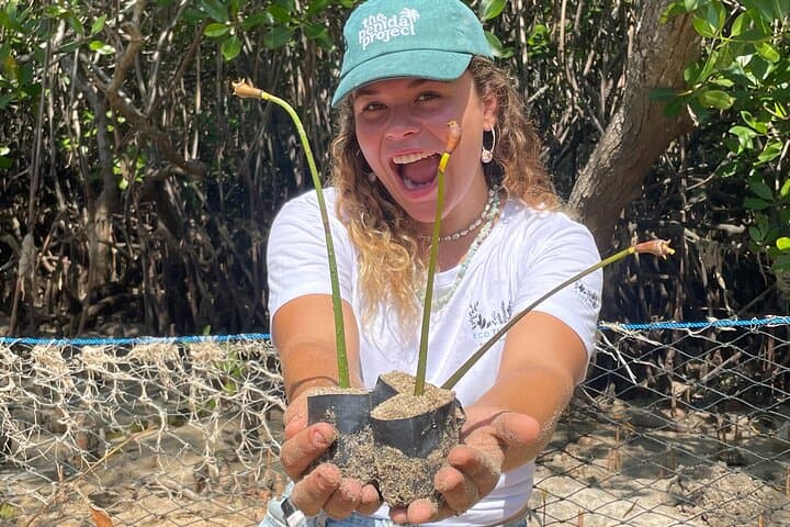 Mangrove Reforestation and Exploration Around Nusa Lembongan & Ceningan photo 4