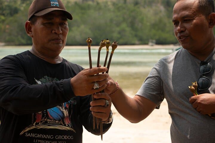 Mangrove Reforestation and Exploration Around Nusa Lembongan & Ceningan photo 6