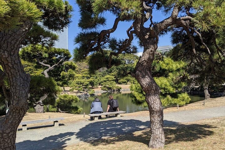 Hamarikyu Gardens Wellness Walk & Tsukiji Lunch — Forest Bathing in Tokyo photo 3