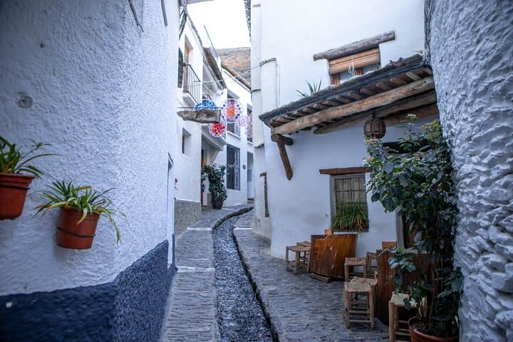 Day Trip to Las Alpujarras: White Villages, Trevelez Ham & Sierra Nevada Views