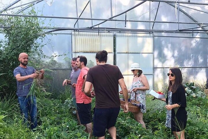 Quinta de Louredo: Hands-On Cooking Class & Farm Tour in the Douro Valley photo 3