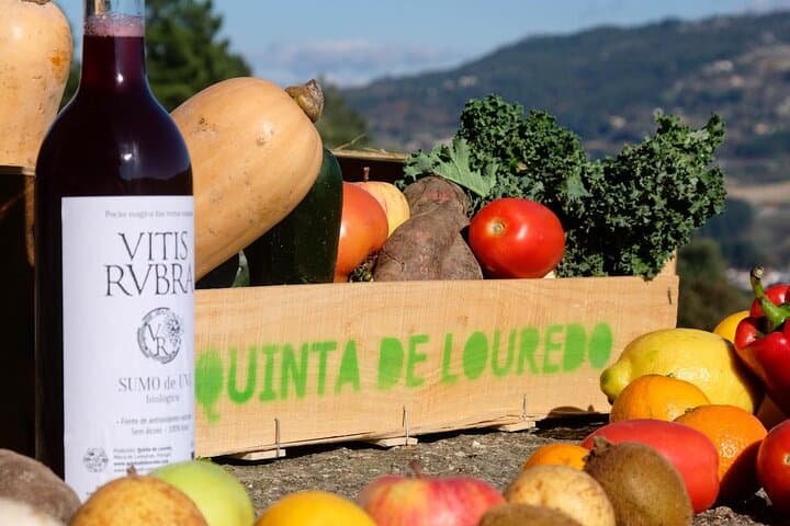 Quinta de Louredo: Hands-On Cooking Class & Farm Tour in the Douro Valley