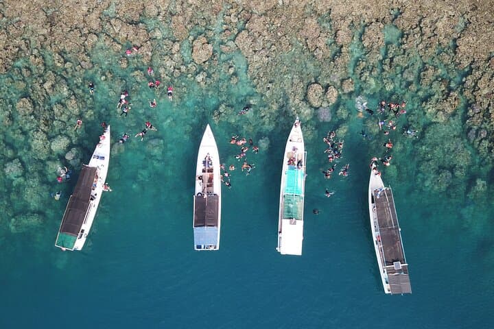 Karimunjawa Private Snorkeling and Island Hopping Tour — Full-Day Boat Adventure photo 3