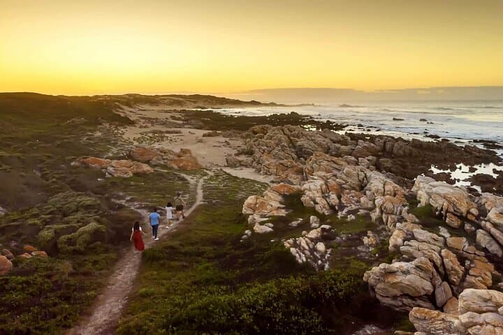 Full-Day Port Elizabeth Safari: Cape Recife, Kragga Kamma & Van Stadens Flower Reserve