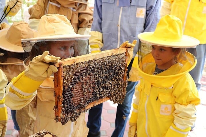 Hatta Morning Desert Safari & Honey Bee Garden — 4x4 Adventure from Dubai photo 4