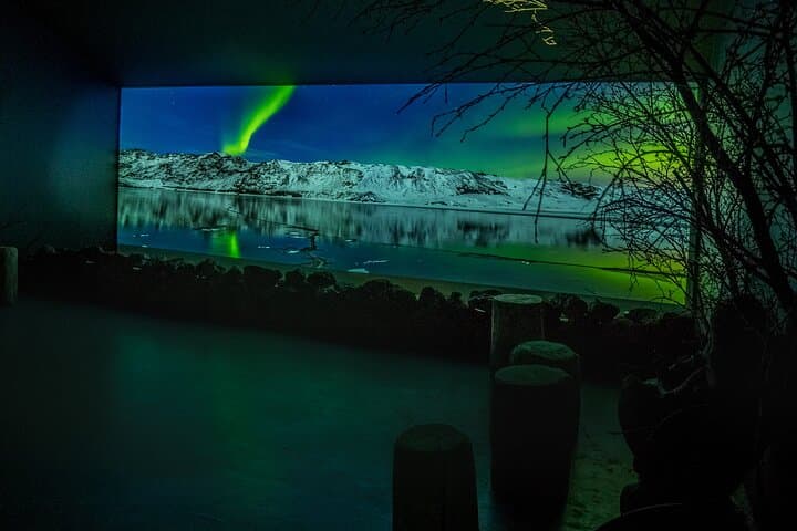 Aurora Reykjavík: Inside Iceland's Northern Lights Center photo 6