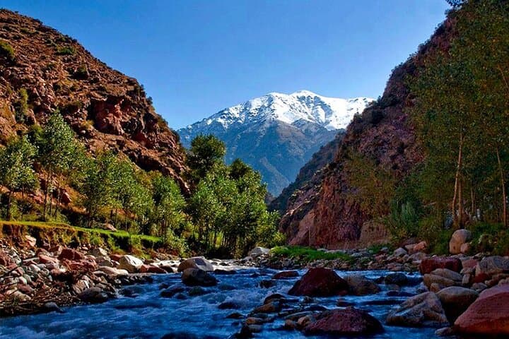 Ourika Valley Day Trip from Marrakech: Seven Waterfalls, Berber Villages & Atlas Views