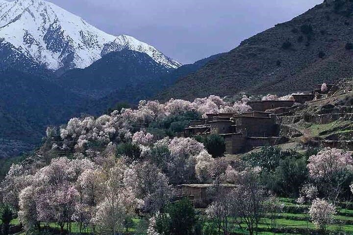 Ourika Valley Day Trip from Marrakech: Seven Waterfalls, Berber Villages & Atlas Views photo 5
