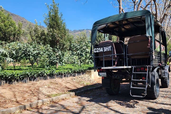 Off-Road Coffee Farm Tour from Antigua Guatemala: ATV & UTV Adventure photo 6