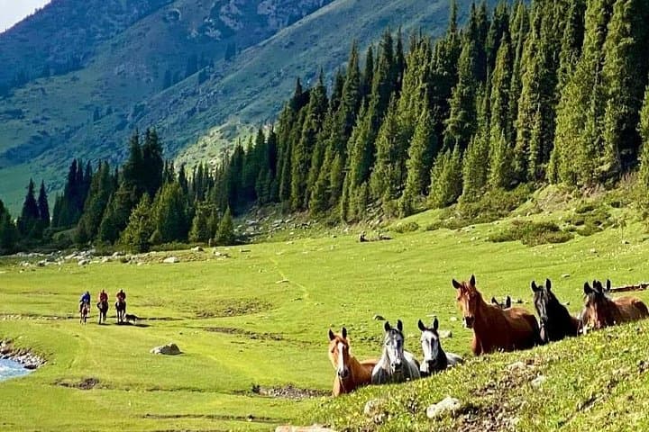 Exploring Kyrgyzstan: 9-Day Tien Shan Adventure from Bishkek photo 2