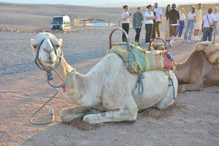 Agafay Desert Sunset Camel Ride and Moroccan Dinner Show from Marrakech photo 5