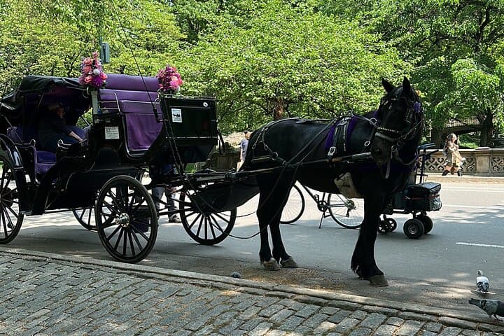 Central Park Carriage Ride: 45-Minute Guided Tour of NYC Landmarks