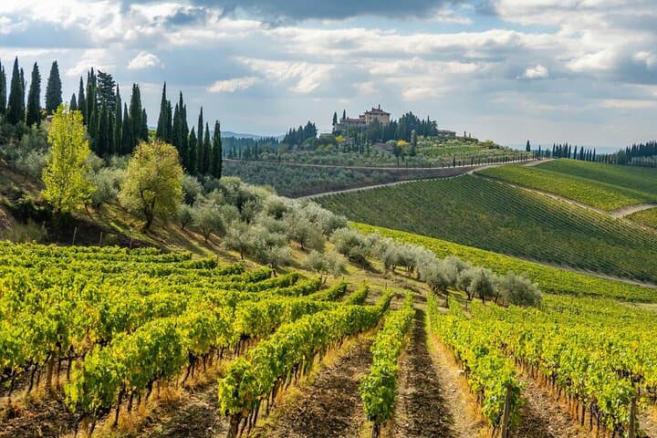 Private Chianti Wine Tour from Florence — Wineries, Tastings & Tuscan Lunch
