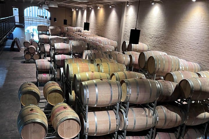 Half-Day Private Wine Tasting in Constantia: Groot Constantia to Steenberg photo 5