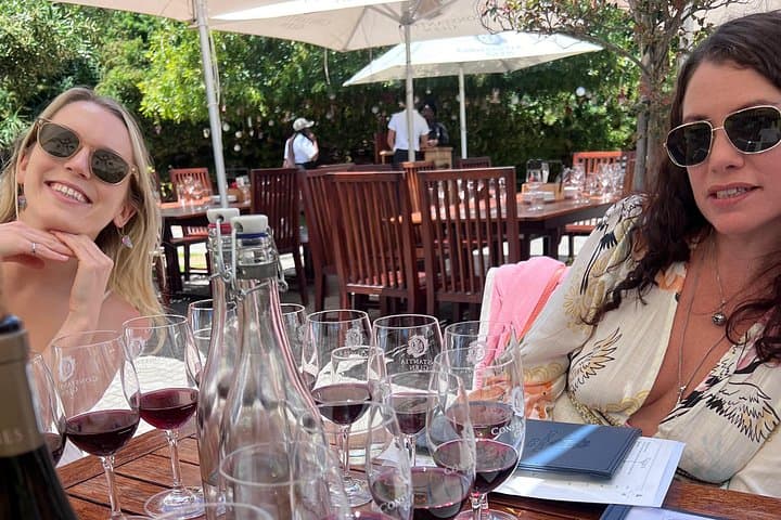 Half-Day Private Wine Tasting in Constantia: Groot Constantia to Steenberg photo 6