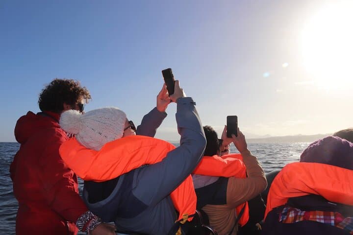 North Coast Boat Tour to Elephant Rock & the Capelas Arches — São Miguel photo 3