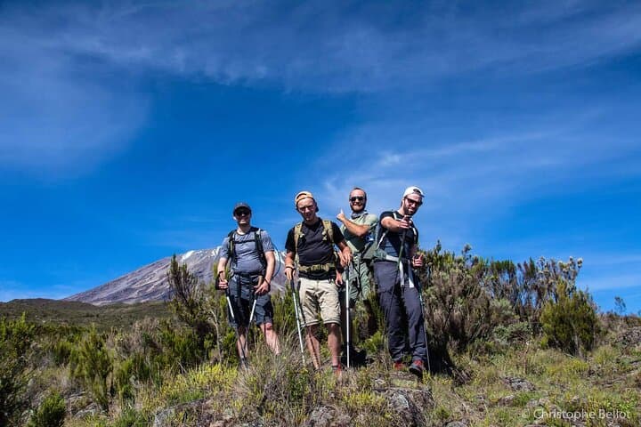 8-Day Lemosho Route: Private Kilimanjaro Climb to Uhuru Peak photo 6