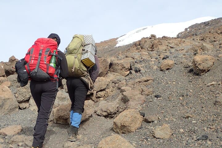 7-Day Kilimanjaro Trek via Machame Route: Summit Uhuru Peak in One Week photo 6