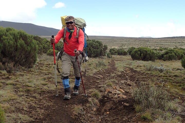 9-Day Lemosho Route Kilimanjaro Climb — Guide to Summiting Uhuru Peak photo 5
