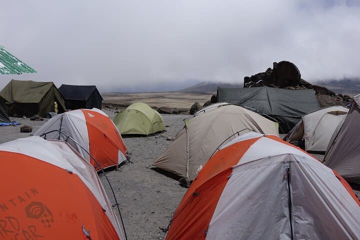 9-Day Lemosho Route Kilimanjaro Climb — Guide to Summiting Uhuru Peak photo 6