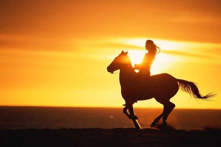Agadir & Taghazout Beach Horseback Riding — Sunrise and Sunset Coastal Rides